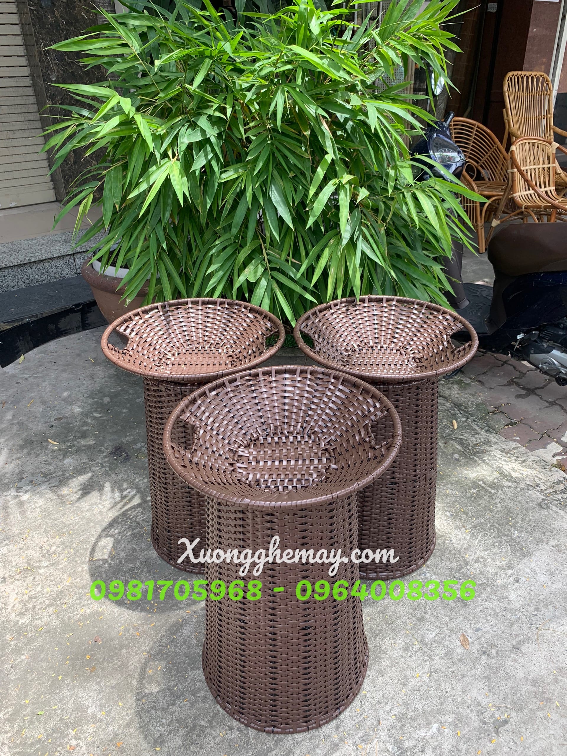 
								Bộ khay trưng bày trái cây KN05