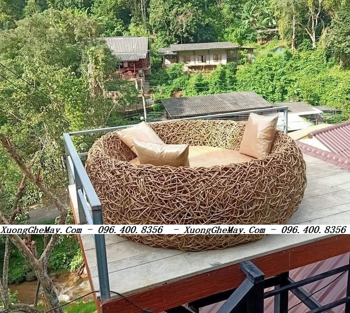
								ghế tổ chim tổ kén chụp hình